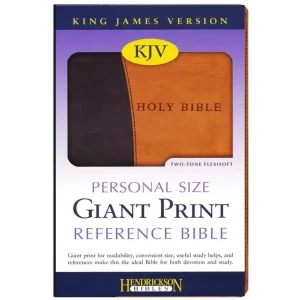 brown and black giant print bible (1)
