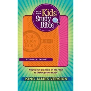 orange kids study bible (1)