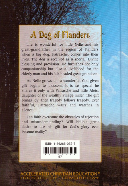 A Dog of Flanders (8)