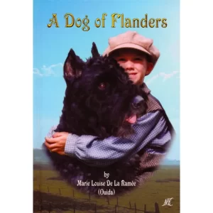 a dog of flanders (1)